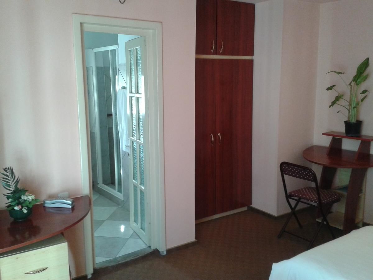 Гостевой дом Pensiunea Vila Dana Клуж-Напока-29